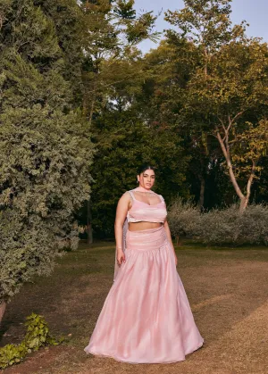 Aadya Pink Mesh Lehenga Set