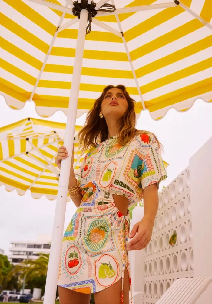 Brizzie Mini Dress