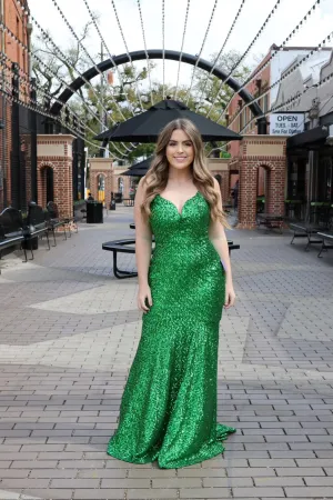Javana Fitted Sequin Mermaid Gown
